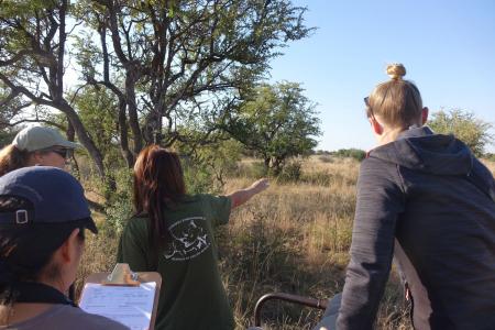 Volunteers observe wildlife (C) Ashley Junger
