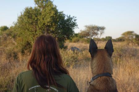 Lynne and the reserve's security dog observe a rhino (C) Ashley Junger