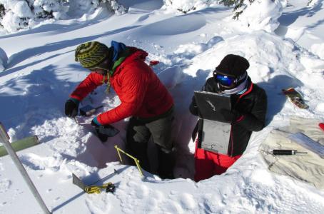 Volunteers record the temperature of the snow at various depths.© Jo Anne Croft | Earthwatch