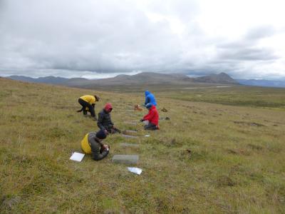Earthwatch volunteers collect environmental samples (credit Steve Mamet)