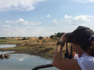 Lynne scans for rhinos with binoculars (C) Caroline Dunn
