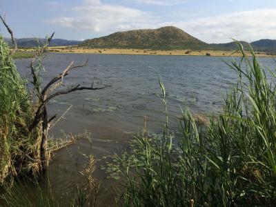 A large lake at Pilanesberg National Park (C) Caroline Dunn