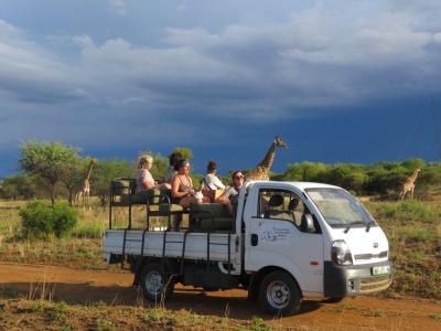 Earthwatch volunteers observe giraffes from a research vehicle (C) Lynne MacTavish