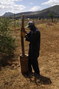 A member of the research team prepares a fence post