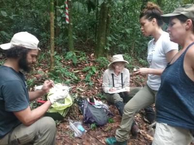 Earthwatch volunteers survey small mammals