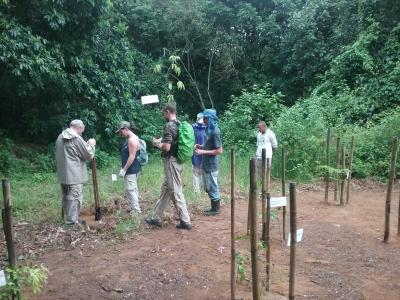 Earthwatch volunteers help plant trees