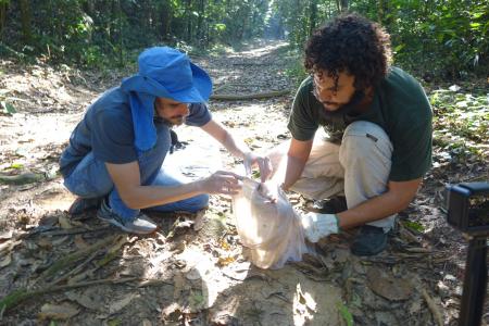 Volunteers examining a small mammal (credit Stan Rullman)
