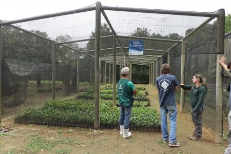 Volunteers helping maintain the plant nursery (credit Stan Rullman)