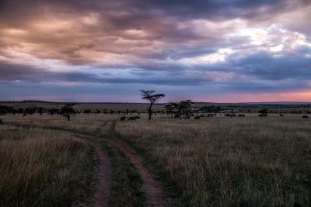 Sunset over Maasai Mara (C) Anthony Ochieng