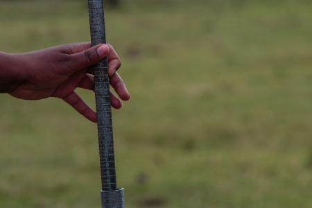 A metal ruler is used to measure vegetation (C) Anthony Ochieng
