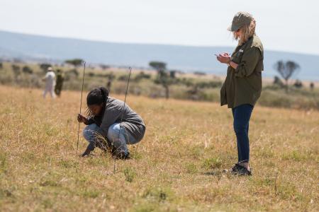 Earthwatch volunteers measure vegetation (C) Anthony Ochieng