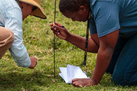 Earthwatch volunteers measure vegetation (C) Anthony Ochieng