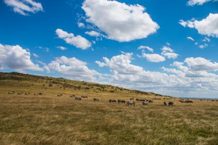 Maasai Mara landscape (C) Anthony Ochieng