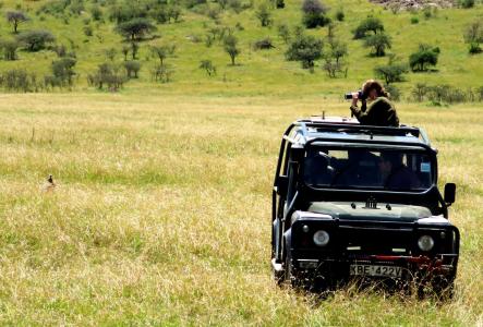 An Earthwatch volunteer photographs wildlife in the tall grass from a research vehicle