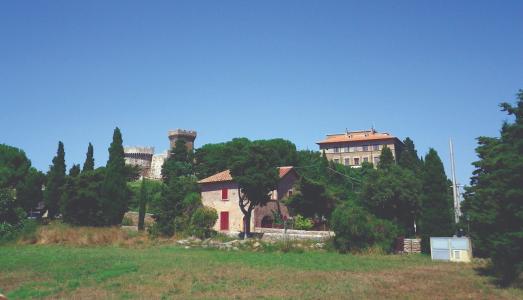 Unearthing Ancient History in Tuscany 
