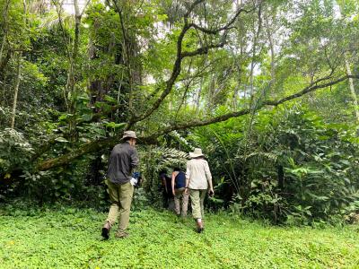 Earthwatch volunteers trekking through the dense Atlantic Forest