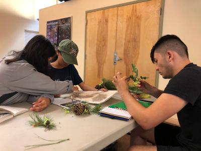 Earthwatch teen volunteers learn to identify tree species in Arizona