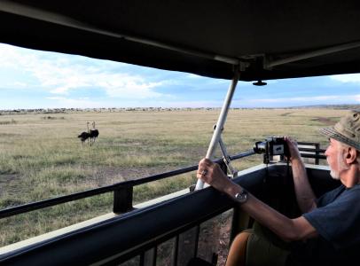 An Earthwatch volunteer photographs ostriches (C) Mary Rowe