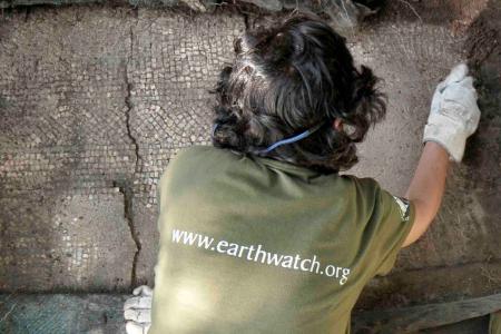 An Earthwatch volunteer working to uncover a mosaic
