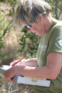 An Earthwatch volunteer records data in the field