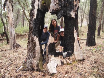 Three Earthwatch teen volunteers pose in a forest damaged by fire in Arizona (C) Alexa Putillo