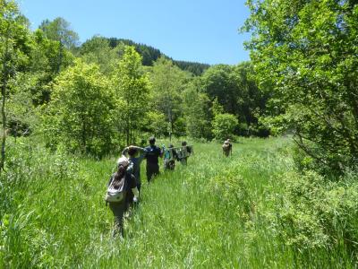 An Earthwatch team in Utah heads out to the research site (C) Grant Dornfeld