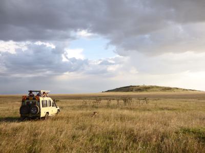 Earthwatch volunteers observe a lion from their research vehicle (C) Mary Rowe