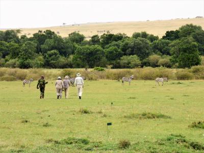 Earthwatch volunteers walk towards a herd of zebra (C) Mary Rowe