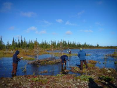 Volunteers trek the tundra to monitor permafrost (credit Brigitt Haussamann)