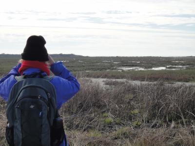 An Earthwatch volunteer observing whooping crane behavior (credit Elise Begin)