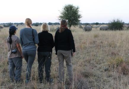 Ashley standing with her teammates, observing two white rhinos