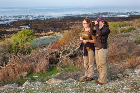 Earthwatch volunteers survey the coast through binoculars (C) Alix Morris
