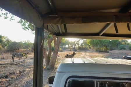 You’ll also roam the park in a safari vehicle to record the spectacular diversity of animals found within.