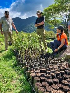 Earthwatch volunteers will plant trees in pastures to begin the process of reforestation.