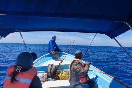 Each day the team will be divided and tasked with either boat-based or land-based survey tasks, swapping on alternate days to ensure all are able to participate in each activity. 