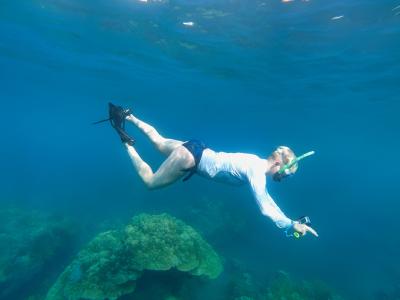 You’ll snorkel (or scuba dive) over both artificial and natural reefs to record the coral, algae, sponges, gastropods, and urchins in quadrats on the reefs.