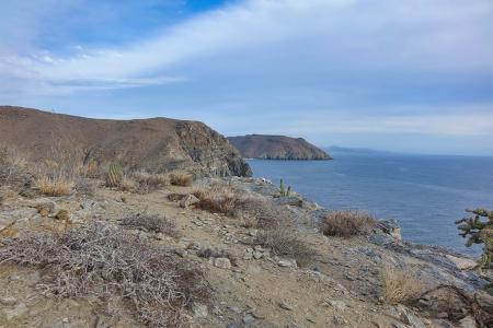 View from land-based observation station at Punta Lobos.
