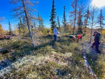 Participants collect soil depth measurements on a ‘palsa’—a perennially frozen peat mound with a permafrost core.