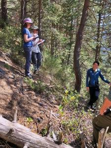 Earthwatch participants will also study alpine flora, follow the growth of tree species, and detect bats. 