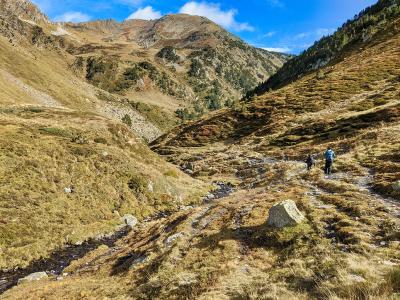Earthwatch participants will walk up to 2–12 km daily over rocky, off-trail, steep (and sometimes very steep) alpine terrain. Elevation gains will vary daily, but they will be around 500m (except in one site, where elevation gain is 900m, where teams are organized accordingly).