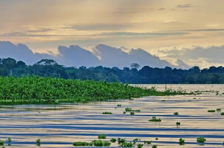 Since 2006, the Earthwatch-supported Amazon Riverboat Exploration project has focused on establishing long-term conservation programs and protective strategies for biodiversity in the Amazon. credit Dr. Richard Bodmer