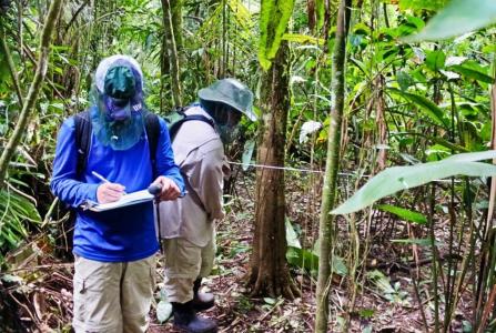 Participants survey the forest in the Samiria-Yavari protected areas. credit Kimberlyn Pinedo