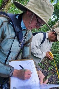 As an Earthwatch volunteer, you'll aid research staff in surveying, assessing group size and composition, measuring distances, recording data, and weighing/measuring animals. credit Ed Talbot