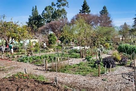 The Huerta del Valle community garden.