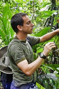 A participant scans leaves for caterpillars in Costa Rica © William Steinberg . |. Earthwatch