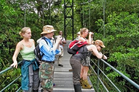Participants enjoy the scenic view from a hanging bridge in Costa Rica. © Vanessa Bliss | Earthwatch