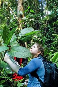 A teen participant scans leaves for caterpillars in Costa Rica © Kim Cassello | Earthwatch