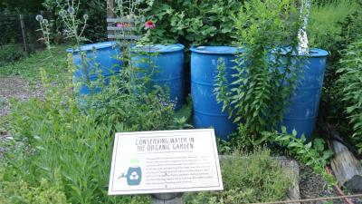 Water collection barrels at the Franklin Park Zoo