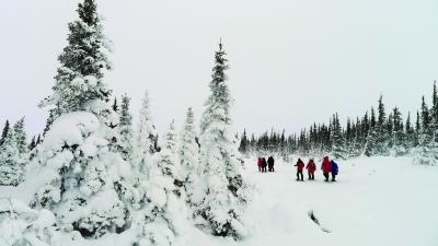 Volunteers in the arctic tundra (credit Matti Urlass)