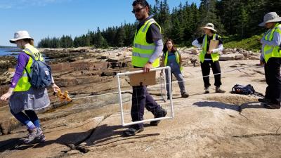 Earthwatch Blog Article: Salt, Water, and Science—A 10-Day Adventure in Acadia